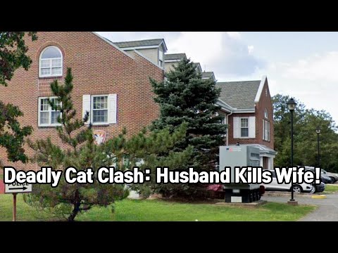 PA man charged with killing wife in cat vet care dispute