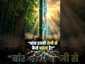 बांस इतनी तेजी से कैसे बढ़ता है? | #Science #HiddenScience #Facts #Biology #Shorts #ViralShorts