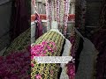 Hazrat Saiyed Ali mira datar dargah Sharif most popular video