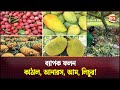 দেশজুড়ে মৌলভীবাজারের কাঠাল, আনারস, লিচুর চাহিদা! | Krishi | Moulvibazar | Channel 24