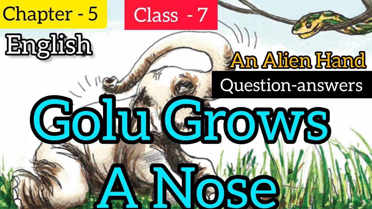 Class 7 English Chapter 5 Golu Grows A Nose An Alien Hand Book class-7-english-chapter-5-golu-grows-a-nose-an-alien-hand-book