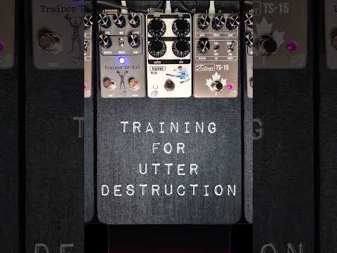 Will it stack? @drunk-beaver-pedalsTrainer TS-15 MKII into Trainer TS-100 into Trainer TS-15