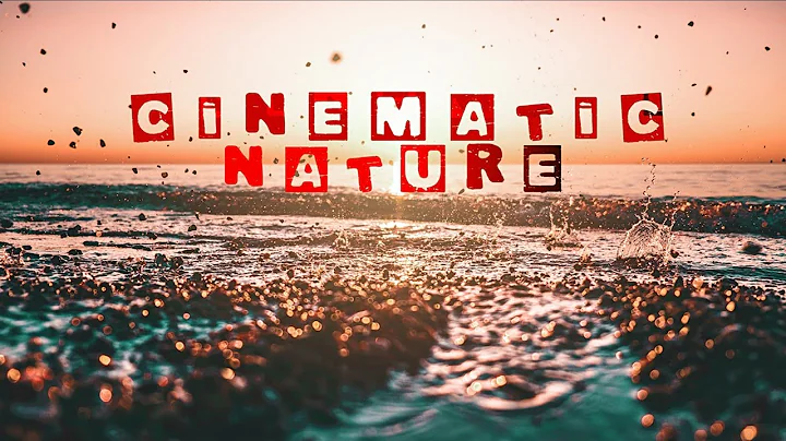 ULTRA HD CINEMATIC NATURE LOOK VIDEO WITH BEST SHOTS