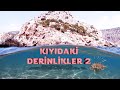 Kydaki derinlikler 2    zehirli aslan bal  barbaros koyu  temmuz 2020