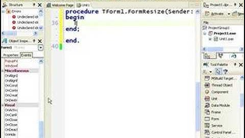 Delphi Programming Tutorial #15 - The OnResize Event