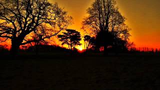 nick drake - sketch v guitar far leys