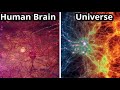 क्या हमारा ब्रह्माणड किसी का दिमाग़ है? (Unbelievable similarity between Human Brain and Universe)