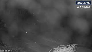 Lake Wānaka webcam, sponsored by Bayleys Wanaka