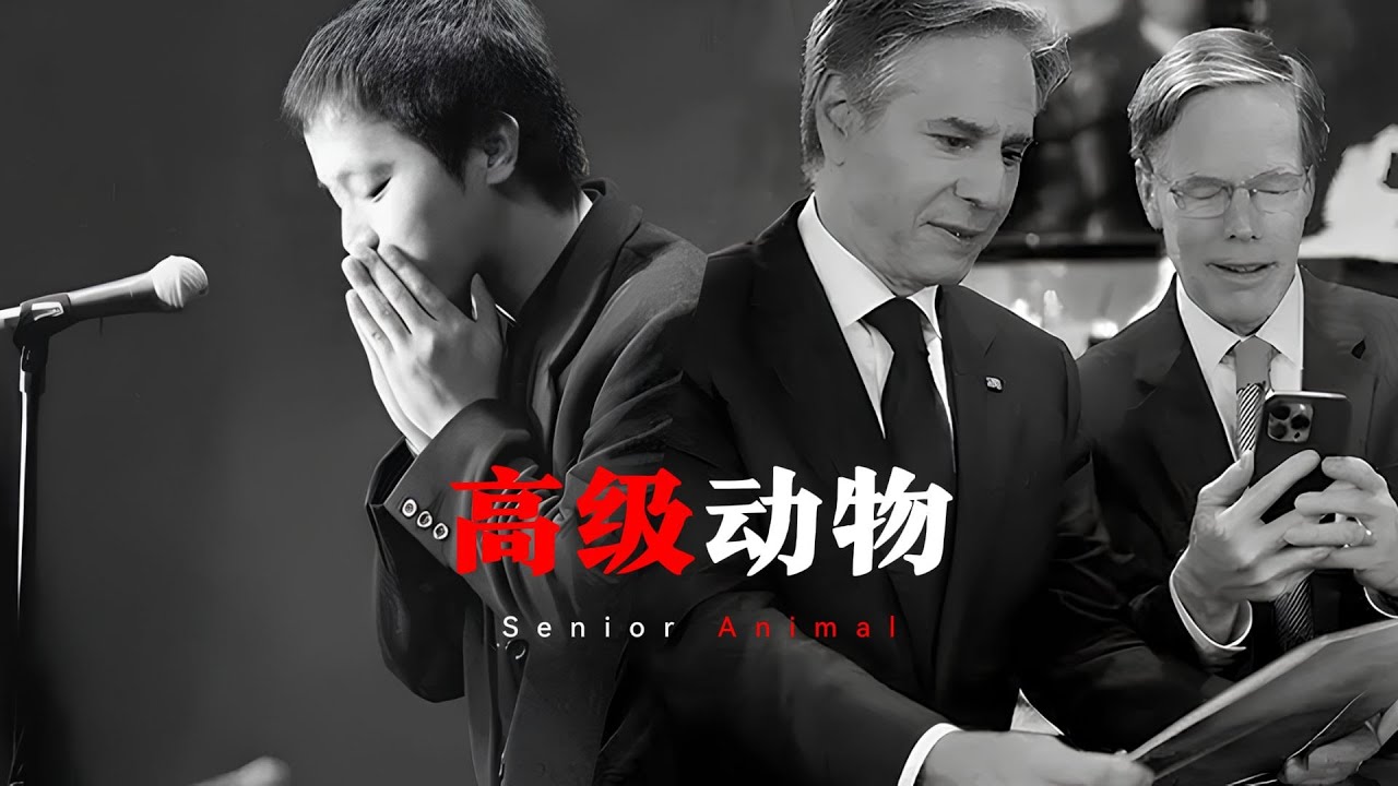 Blinken bought Dou Wei's "Black Dream" album "High-level Animals" 布林肯买的窦唯《黑梦》唱片之《高级动物》 Blinken bought Dou Wei's "Black Dream" album "High-level Animals" 布林肯买的窦唯《黑梦》唱片之《高级动物》