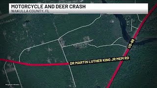 FHP: Crawfordville motorcyclist hospitalized after deer collision in Wakulla County