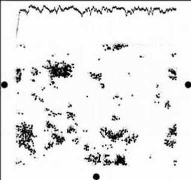 Self-Organizing Dynamics in Vicsek Model Simulation