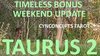 'Taurus, Embrace The Opportunities That Are Coming Your Way!' Timeless Weekend Update Reading