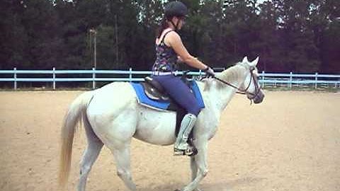 Neck Reining Training Video - Merlin