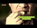 Chips  un business craquant