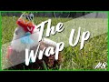 Alpaca Saddles—Wrap Up #8