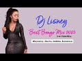  dj lisney best bongo mix 2023   tz love  songs 