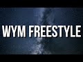 Miniature de la vidéo de la chanson Wym Freestyle