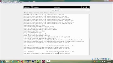 VirtualHost pada Web Server Dengan menggunakan DNS server