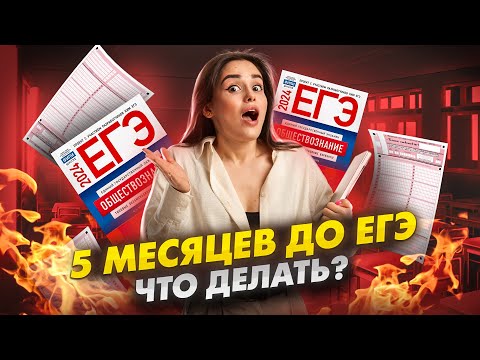 Как подготовиться к ЕГЭ за 5 месяцев?| Обществознание ЕГЭ УМСКУЛ