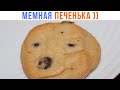 МЕМНАЯ ПЕЧЕНЬКА ))) | Приколы | Мемозг 1370