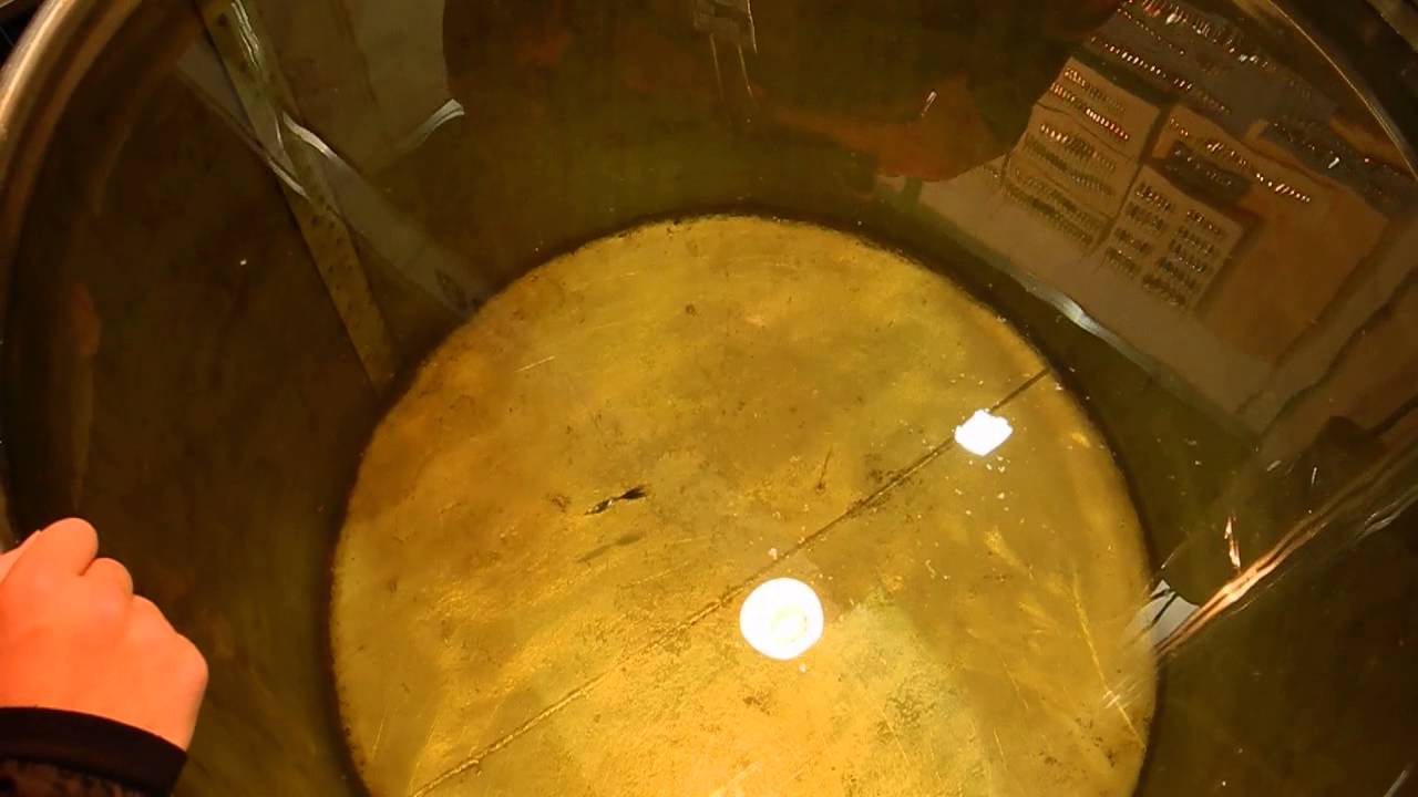 зимняя блесна оса на выставке в Киеве - YouTube