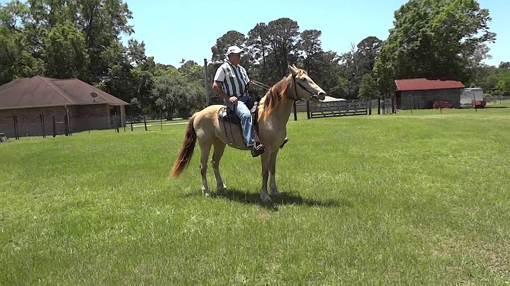 Cody Video for HorseClicks