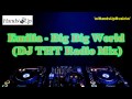 Emilia - Big Big World (DJ THT Radio Mix)