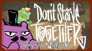 【ドンスタ】居候コラボ！たくさんうえて、うえないで、うえをめざして！