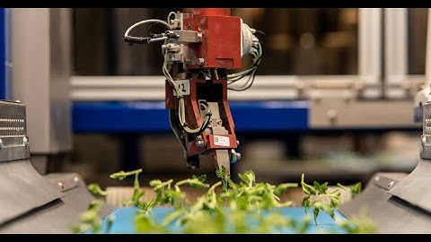 The worlds’ first fully automated machine that recognizes, picks and pots plant cuttings