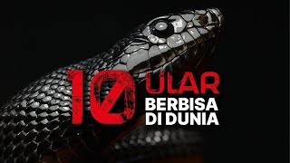 10 ULAR BERBISA DI DUNIA