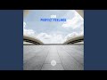 Perfect feelings extended mix