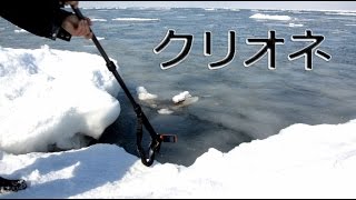 試される大地　クリオネ捕獲作戦　【水中カメラが捕らえた】