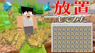 長時間放置したら大量の小麦がｗｗｗ PART231【マイクラ】