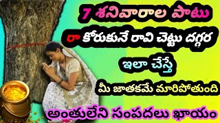 7 శనివారాల పాటు రావి చెట్టు దగ్గర ఇలా చేస్తే ఐశ్వర్యం కలుగుతుంది/రావి ఆకు దీపారాధన/pariharam/లక్ష్మీ