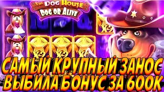 МОЙ САМЫЙ КРУПНЫЙ ЗАНОС В THE DOG HOUSE DOG OR ALIVE! ВЫБИЛА ВЕЗУЧУЮ БОНУСКУ ЗА 600К