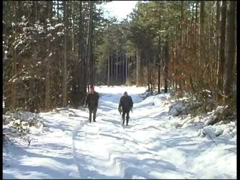 Video: Doghunters - Ubojice Ili Redari?