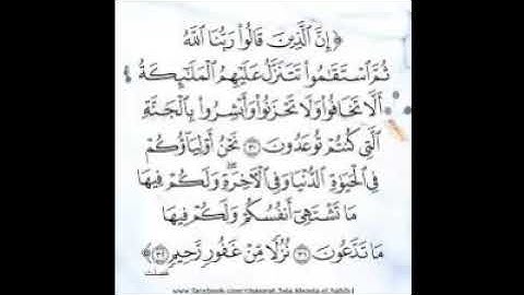 سورة فصلت للقارئ ادم بن سليمان