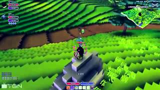 Cube World  Combat