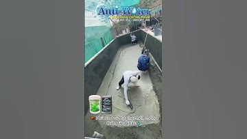 Hồ bơi bị thấm nghiêm trọng? Giải pháp chống thấm tự phục hồi với Anti-Water S1, S2, S3!