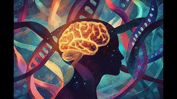 Unveiling a New Genetic Link to Autism