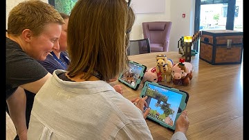 Using Minecraft as a Therapeutic Tool - about the training program