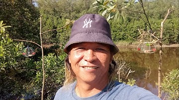 Mikat serindit di kawasan bakau request penonton tompinai.