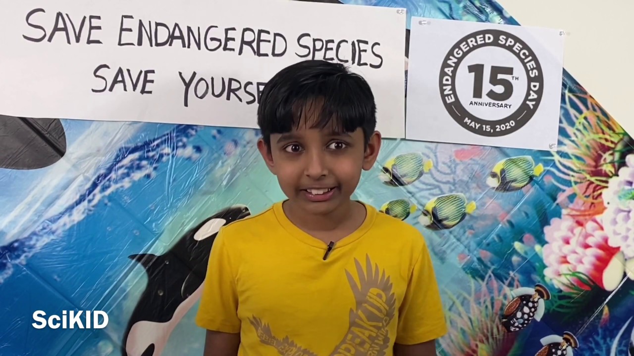 Endangered Species day - 15th Anniversary - YouTube