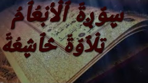 سورة الأنعام تلاوة خاشعة ارح سمعك #القرآن_الكريم #راحة_نفسية