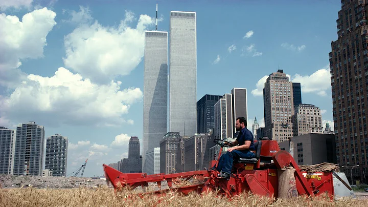Remembering Agnes Deness Wheatfield | THE SHED