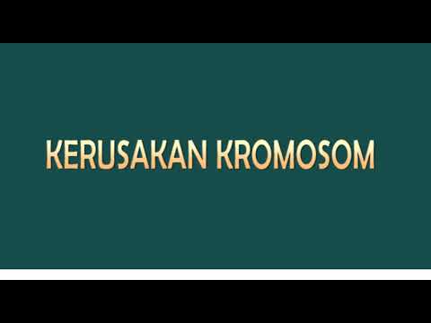 Kerusakan pada Kromosom (Sindrom Marfan)