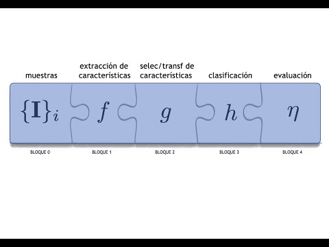 Vídeo: Votante LSTM: Reconocimiento Químico De Entidades Con Nombre Utilizando Un Conglomerado De Herramientas De Etiquetado De Secuencias