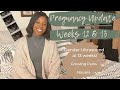 Pregnancy Update: Weeks 12 &amp; 13 + Gender Ultrasound at 13 Weeks!
