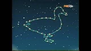 Magic Lantern - Estrellas y animales - BabyTV