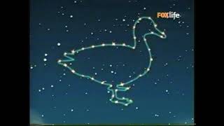 Magic Lantern - Estrellas Y Animales - Babytv